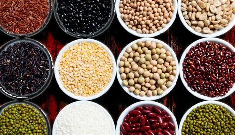 fiber foods meaning in hindi